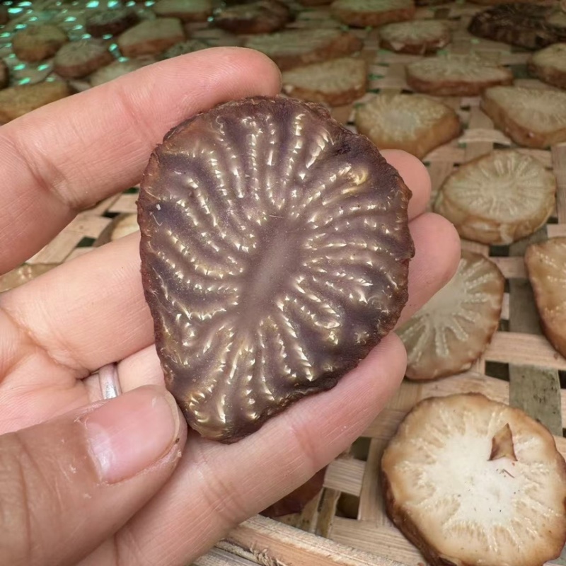 【精品】肉苁蓉切片阿拉善肉苁蓉秋冬季油性泡水泡酒男补天然