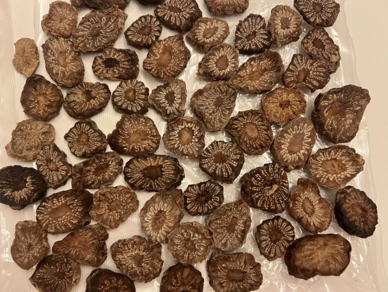 【精品】肉苁蓉切片阿拉善肉苁蓉秋冬季油性泡水泡酒男补天然