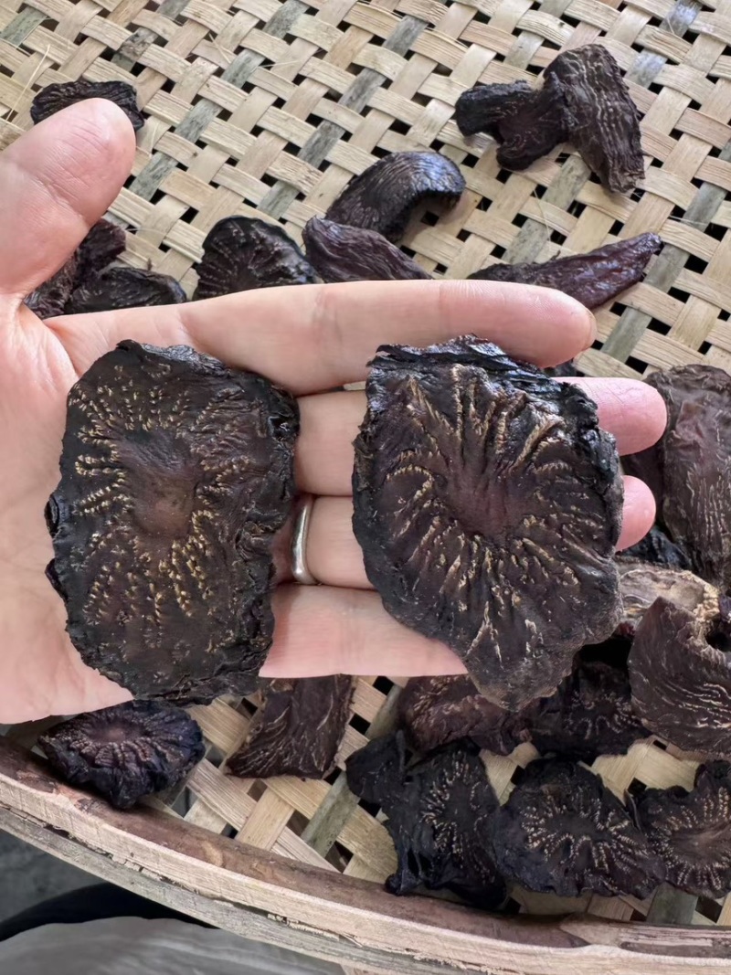 【精品】肉苁蓉切片阿拉善肉苁蓉秋冬季油性泡水泡酒男补天然