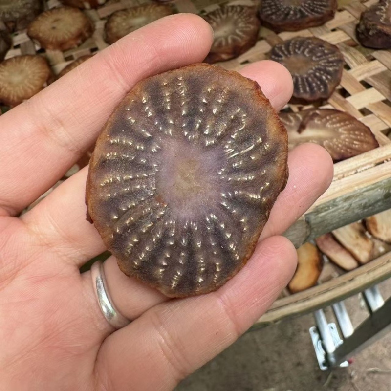 【精品】肉苁蓉切片阿拉善肉苁蓉秋冬季油性泡水泡酒男补天然