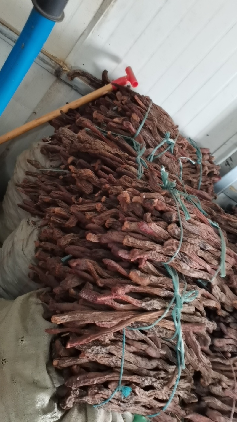 阿拉善精选纯野生金锁阳