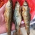 东江鱼干地摊电视批发火焙鱼干淡水鱼干烟熏鱼干