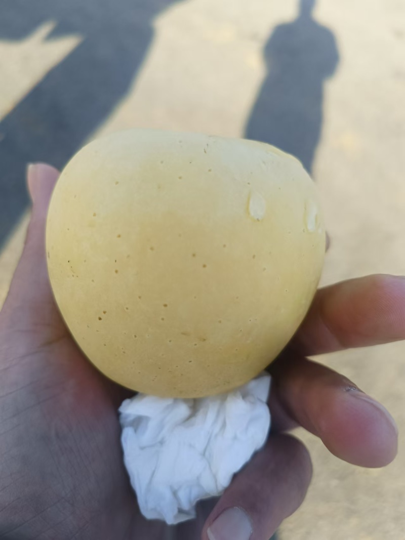 黄金维纳斯苹果产地直发对接全国市场一级批发商