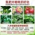 厂家直供尿素氮肥优等尿素工业用/农业用化工原料氮肥