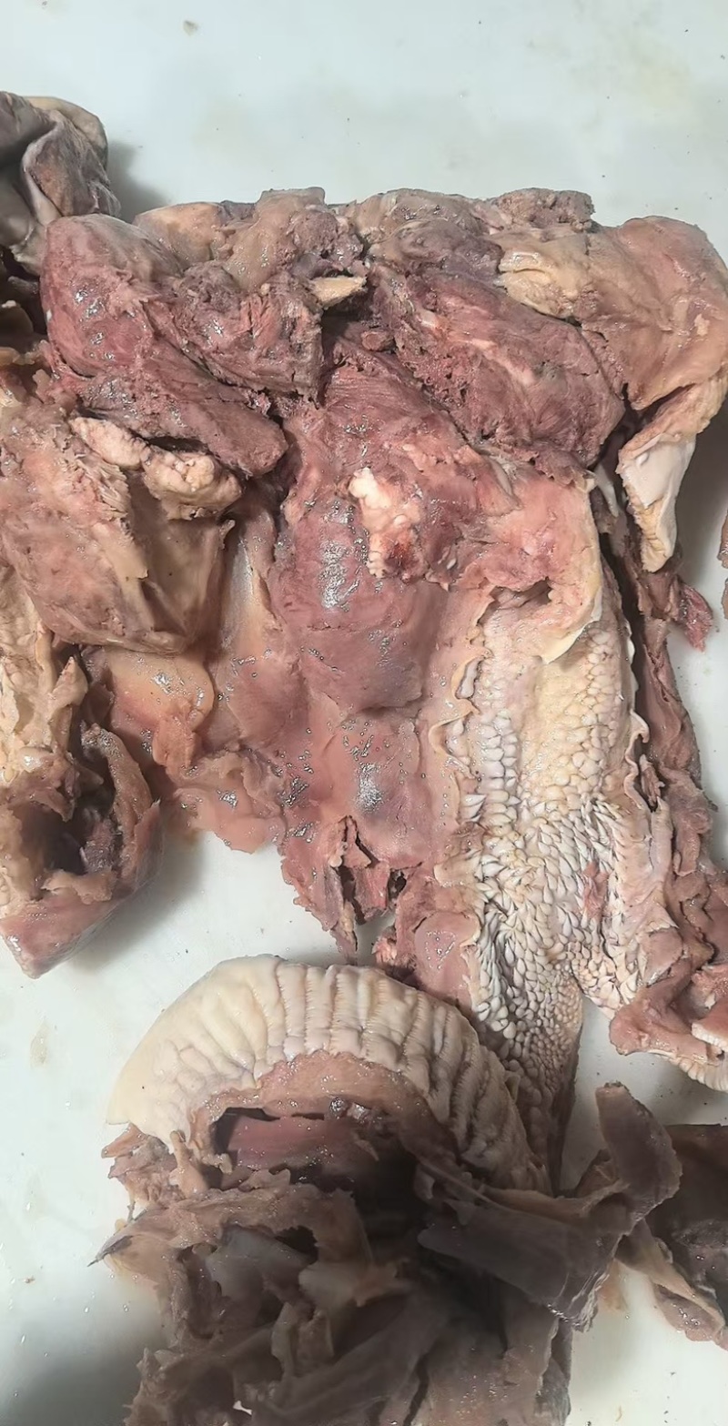 【精品牛头肉】去皮去油去淋巴五香牛头肉