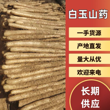榆林白玉山药，颜色白亮，口感绵柔。产地直销，对接各大商超