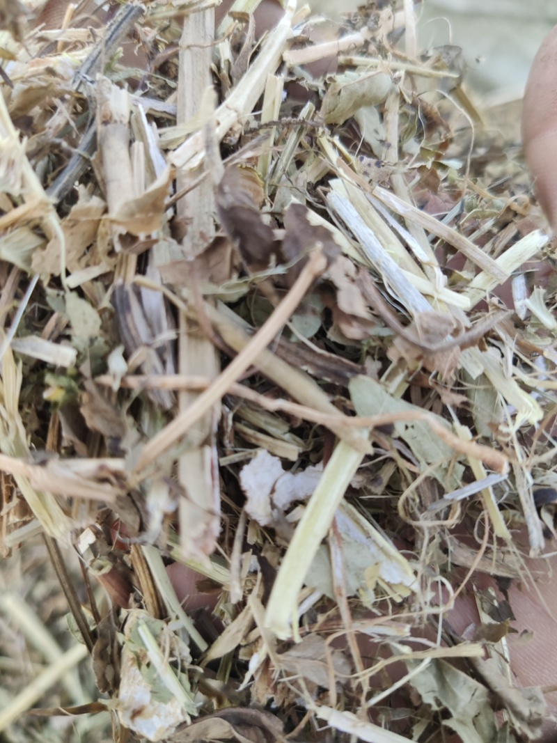 牛草羊草，无土无膜无霉变，过滚桶筛，两次除袋装花生秧