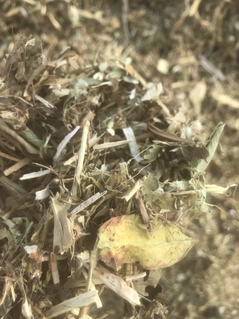 牛草羊草，无土无膜无霉变，过滚桶筛，两次除袋装花生秧