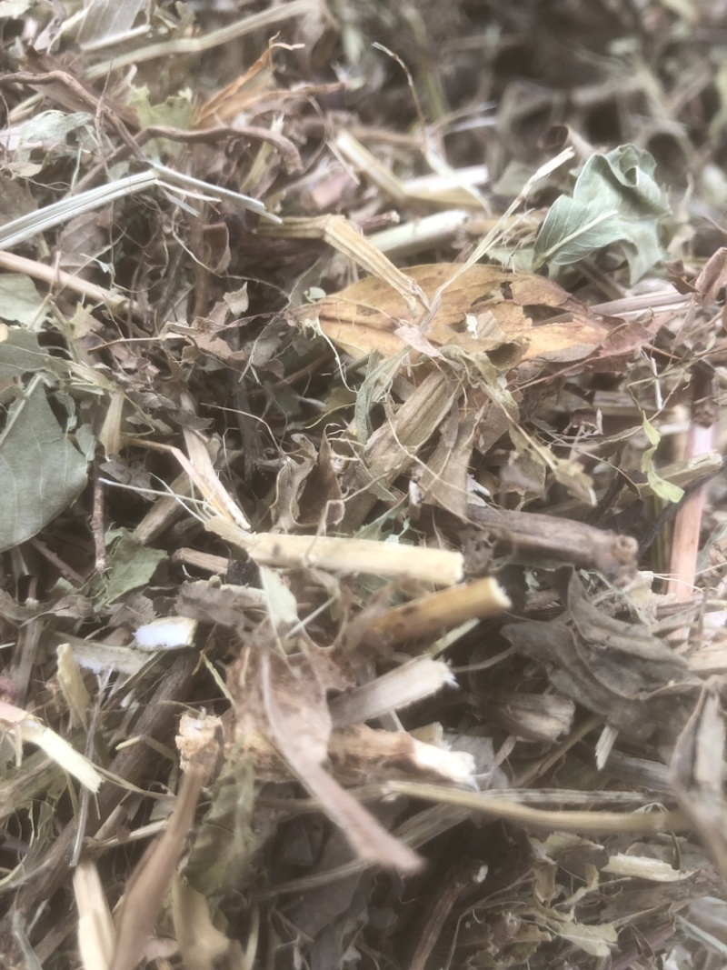 牛草羊草，无土无膜无霉变，过滚桶筛，两次除袋装花生秧