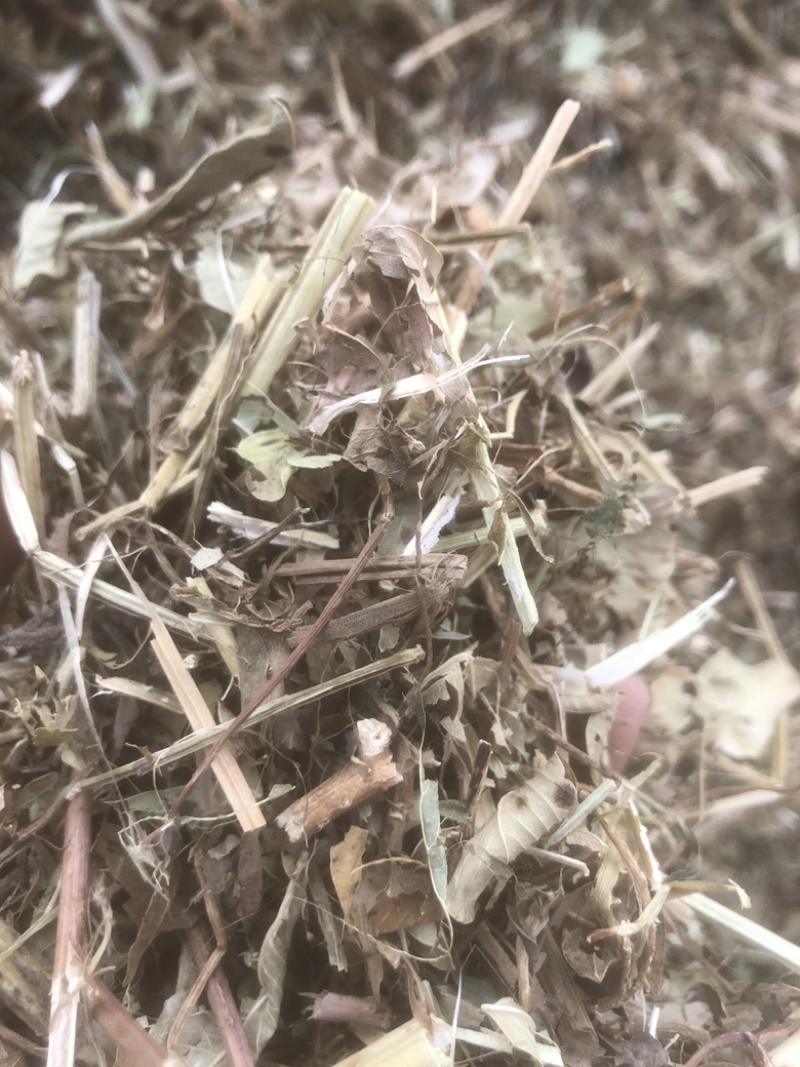 牛草羊草，无土无膜无霉变，过滚桶筛，两次除袋装花生秧