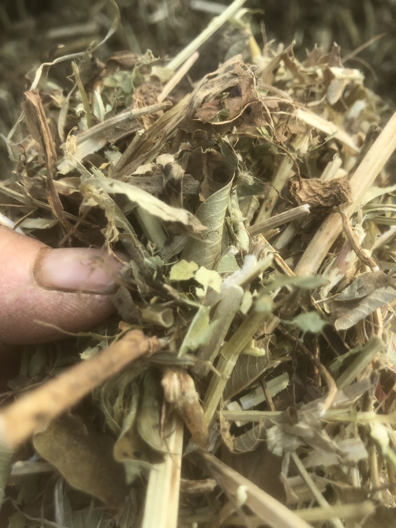 牛草羊草，无土无膜无霉变，过滚桶筛，两次除袋装花生秧