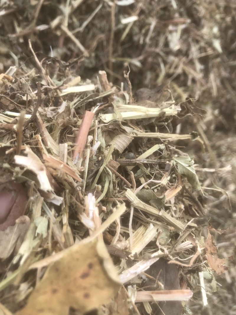 牛草羊草，无土无膜无霉变，过滚桶筛，两次除袋装花生秧
