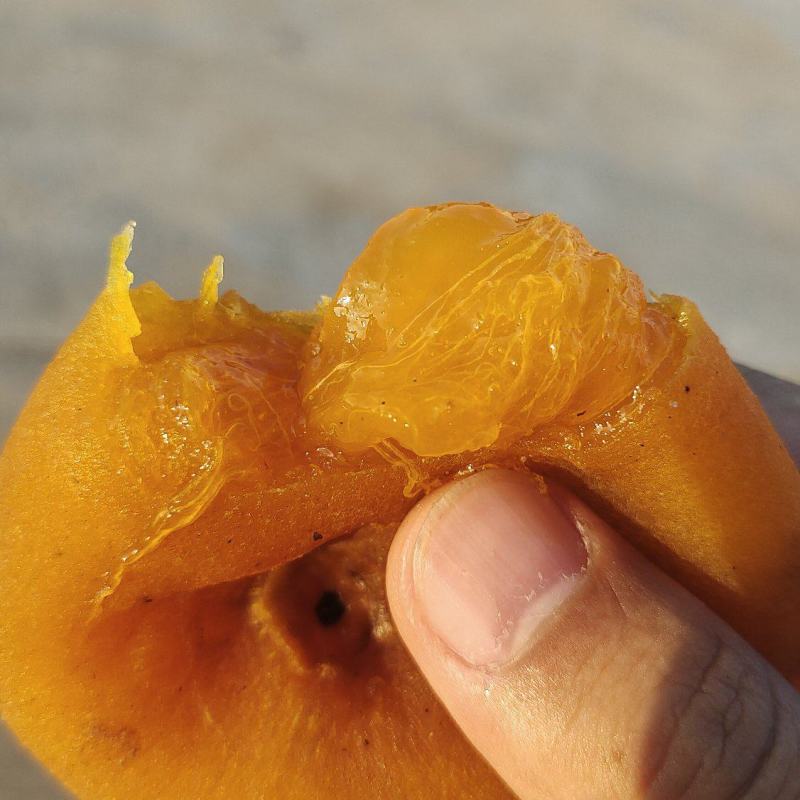 广西平乐柿饼，一手货源，出口货，一件代发，商超