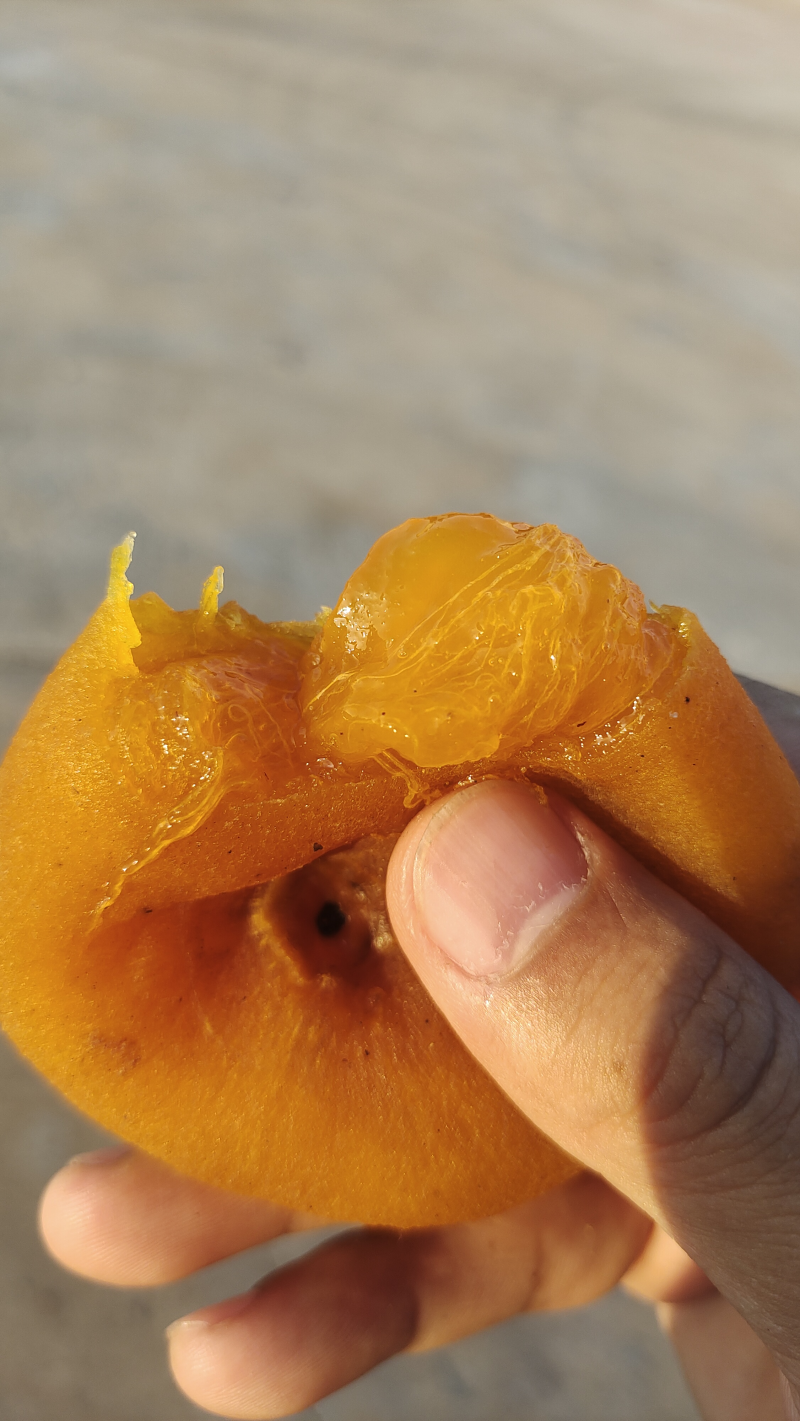 广西平乐柿饼，一手货源，出口货，一件代发，商超
