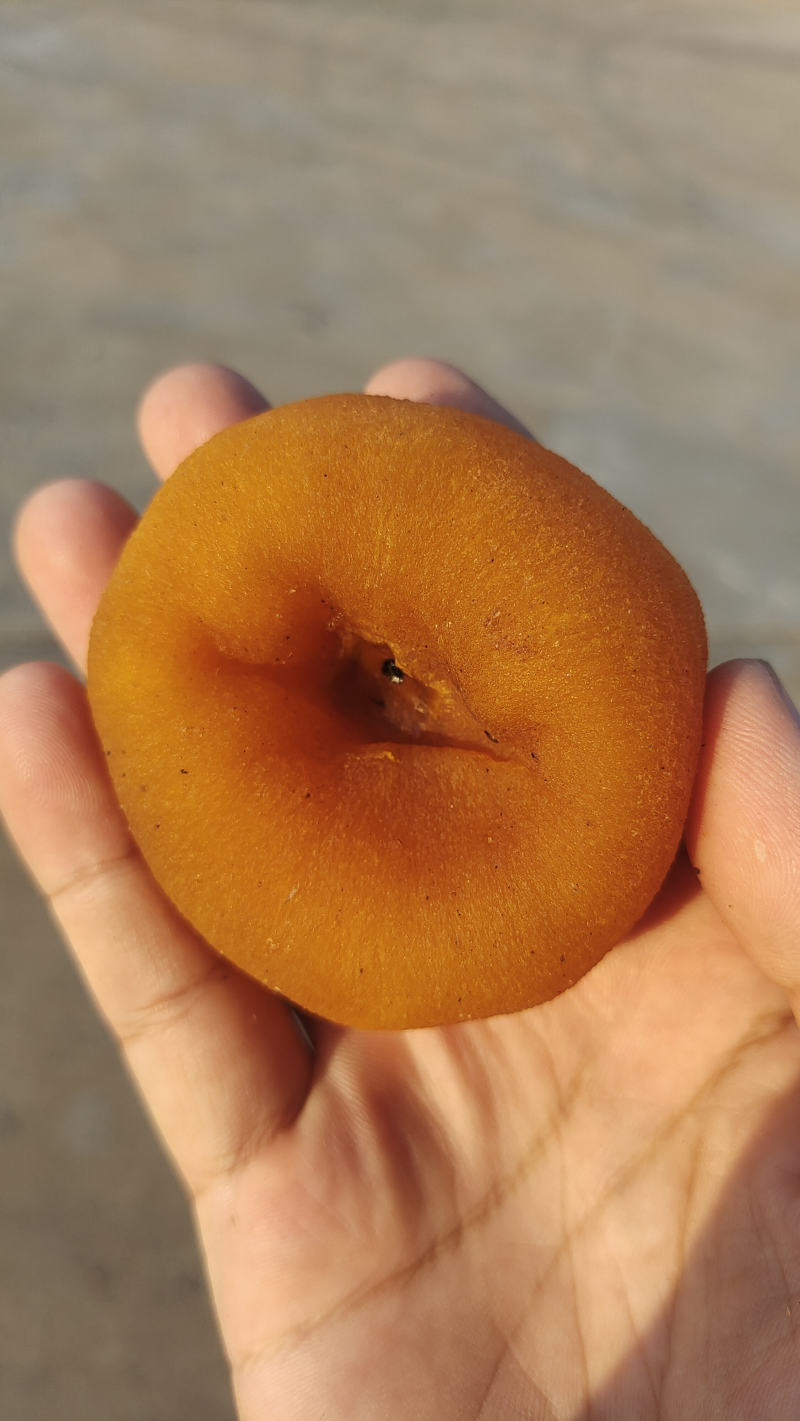 广西平乐柿饼，一手货源，出口货，一件代发，商超