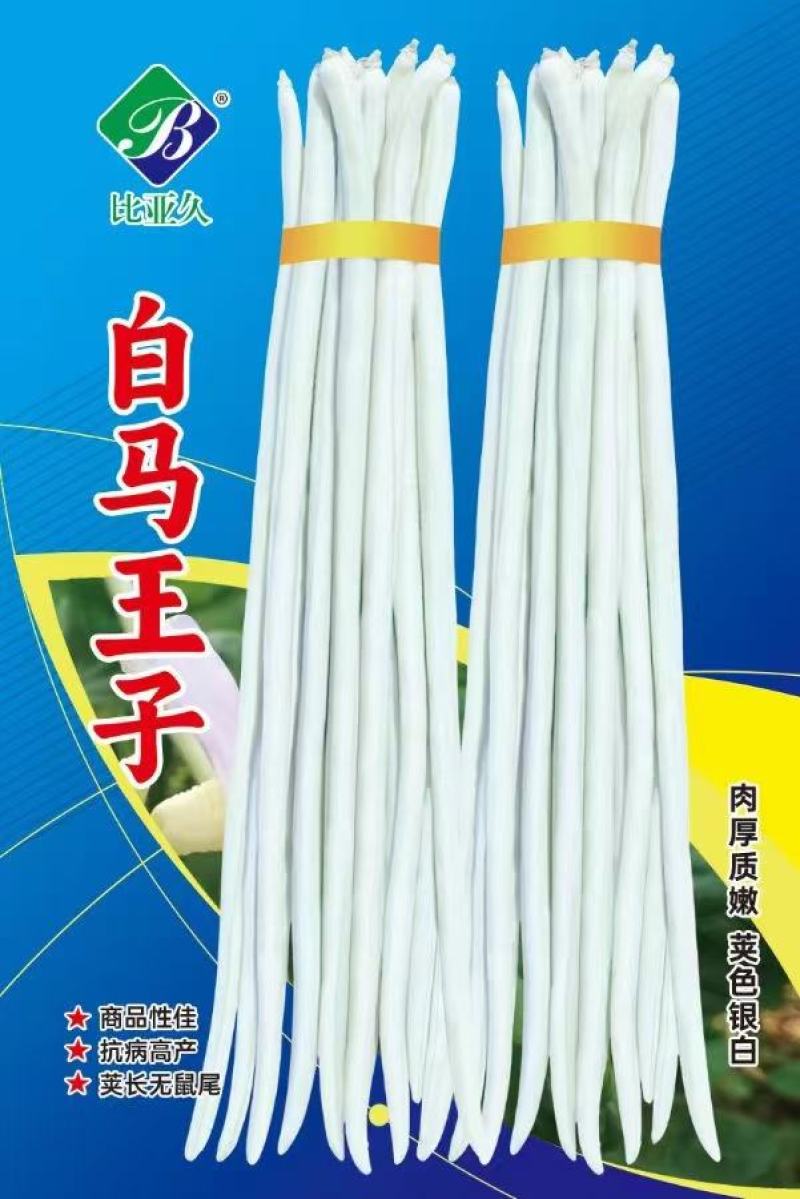 豇豆种子白马王子长条厚肉顺直白豇豆结荚密抗病产量高