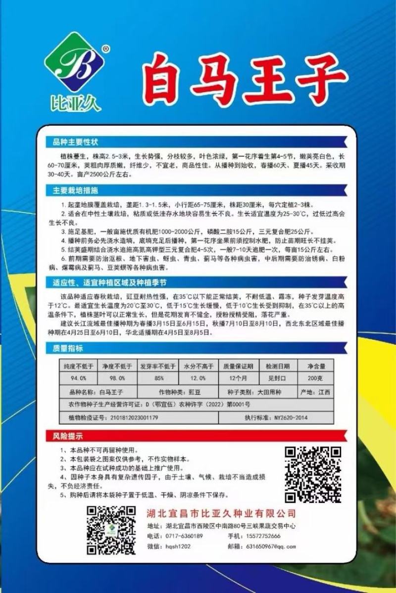 豇豆种子白马王子长条厚肉顺直白豇豆结荚密抗病产量高