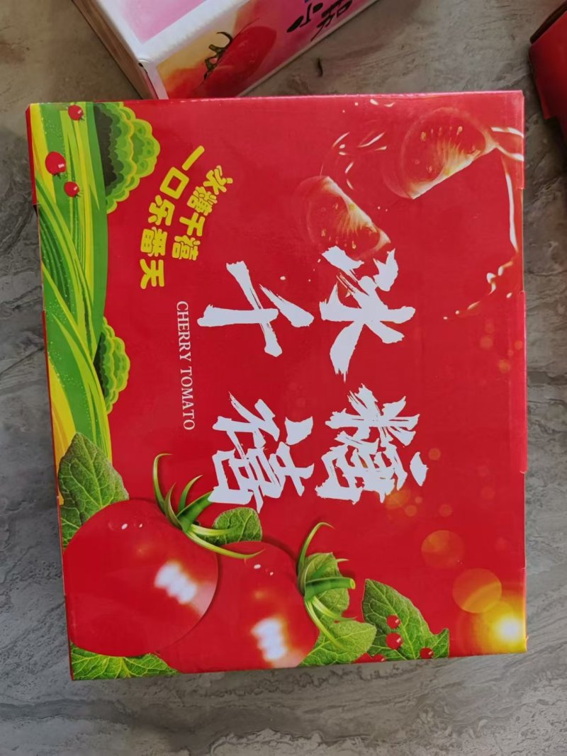 小千禧，贝贝，小番茄圣女果，玲珑番茄大量供应