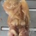 正宗牛头肉厂家直销无添加新鲜货正规来源