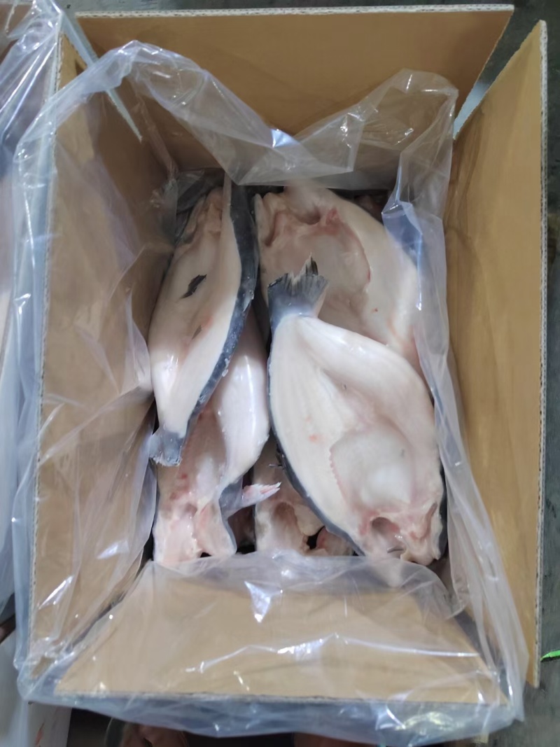 大量供应国产开背巴沙鱼