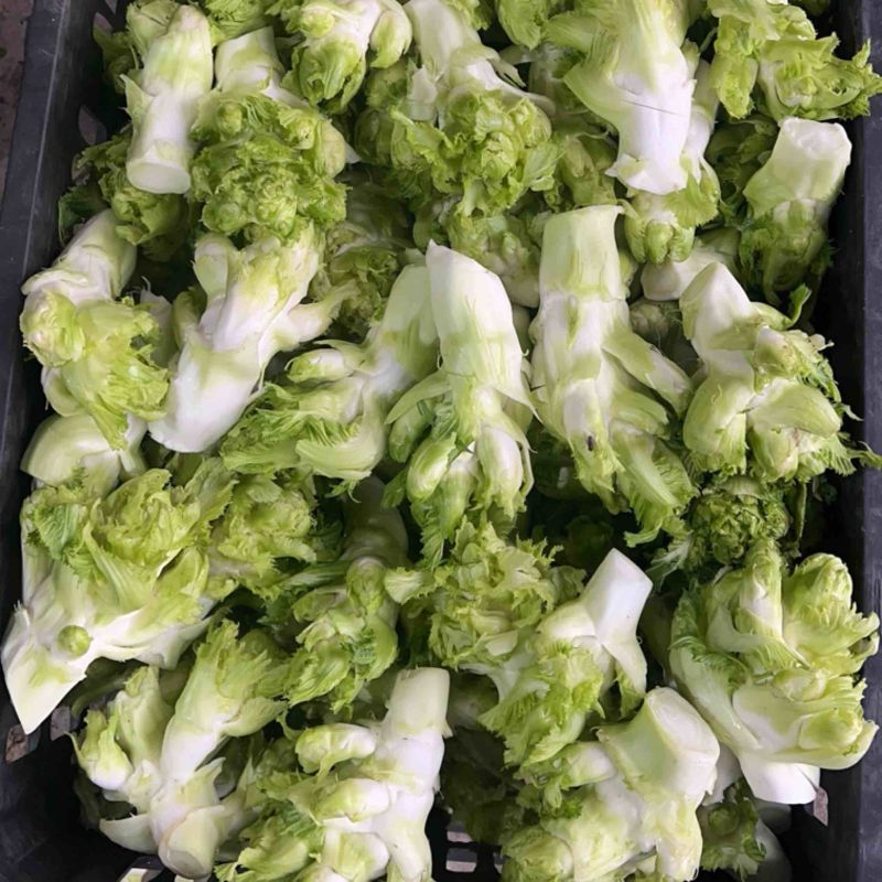 儿莱头儿菜仔娃娃菜腌菜厂电商平台供应