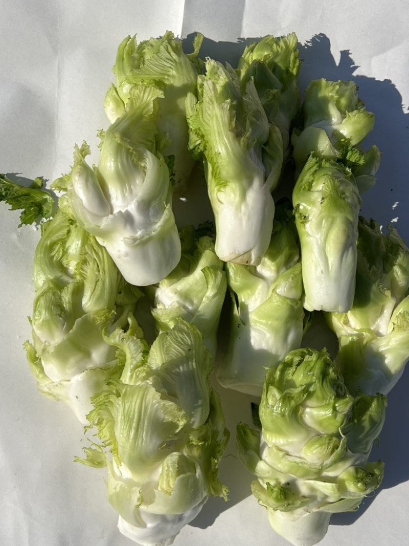 儿莱头儿菜仔娃娃菜腌菜厂电商平台供应