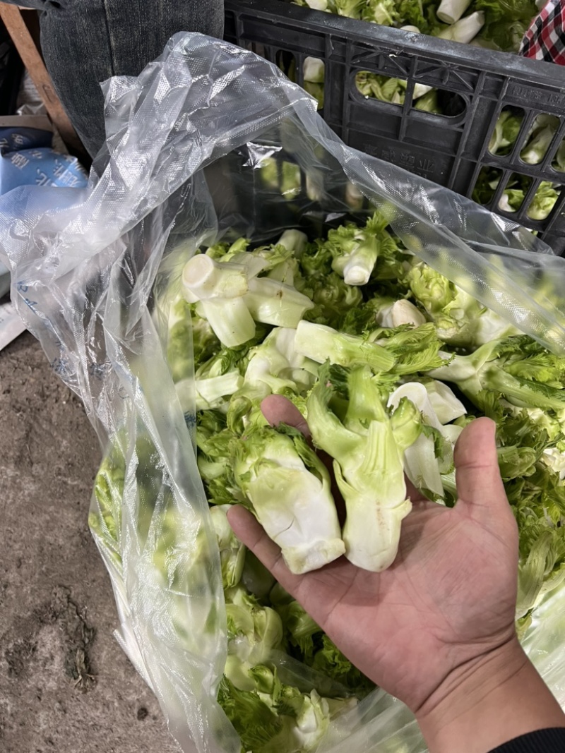 儿莱头儿菜仔娃娃菜腌菜厂电商平台供应
