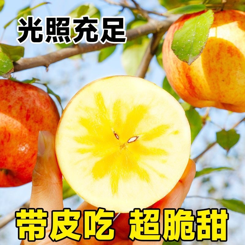 精品红富士苹果冰糖心脆甜新鲜水果批发零售支持一件代发