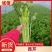 西芹陕西大棚芹菜玻璃翠芹菜批发产地直供高品质低价位