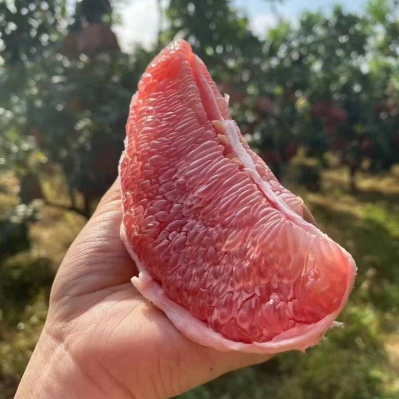 柚子白心柚红心柚产地卖货柚甜柚大柚薄皮柚好吃