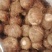 8520毛芋头种子，牛奶芋头，豆包品种齐全，，一件代发