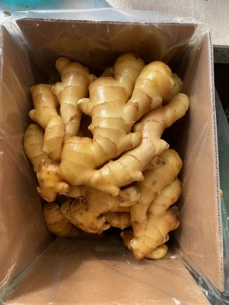山东小黄姜品种齐全保质保量按需加工，全国发货，，郑重承诺