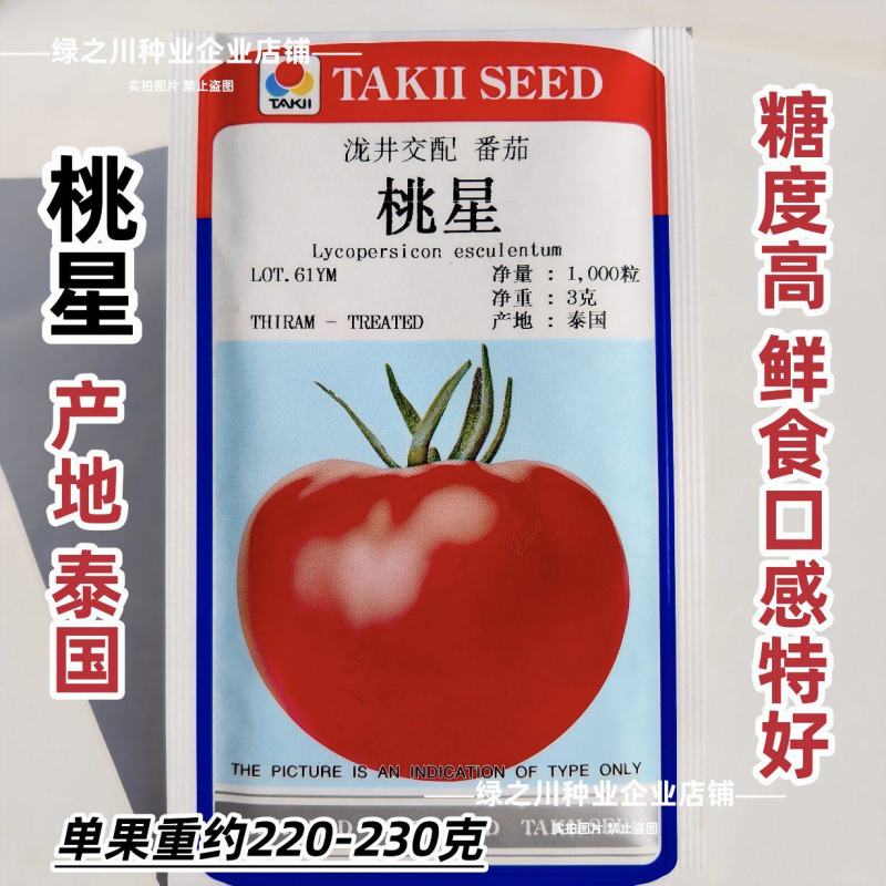泰国进口西红柿种子桃太郎系列桃星番茄种子糖度高粉红番茄