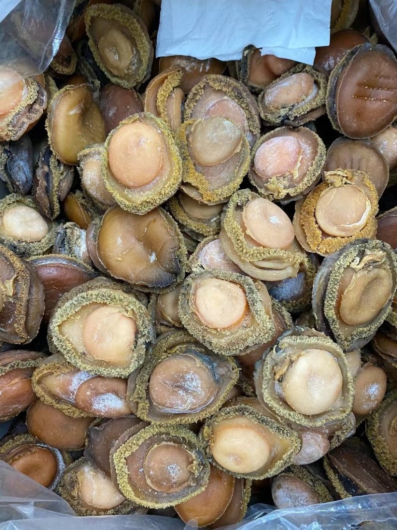 鲍鱼南非鲍鱼干黄鱼鲍鱼精选足干鲍香浓郁天然鲍鱼源头批发