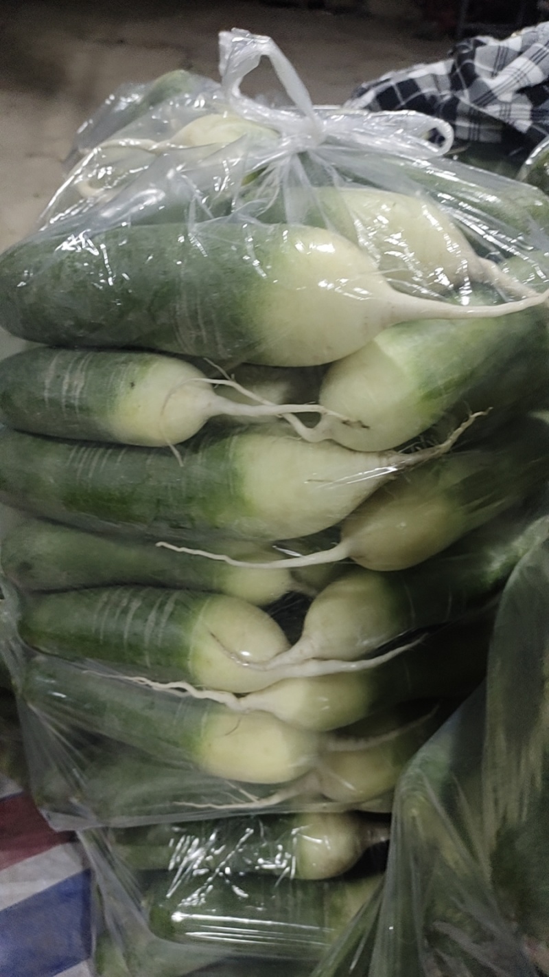 精品水果萝卜