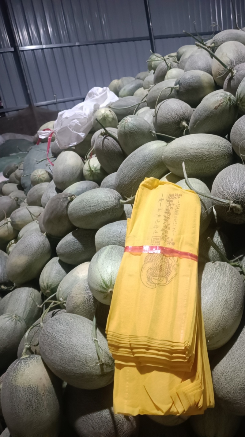 海南哈密瓜晓密25号散装货，货源充足，全国可发货。
