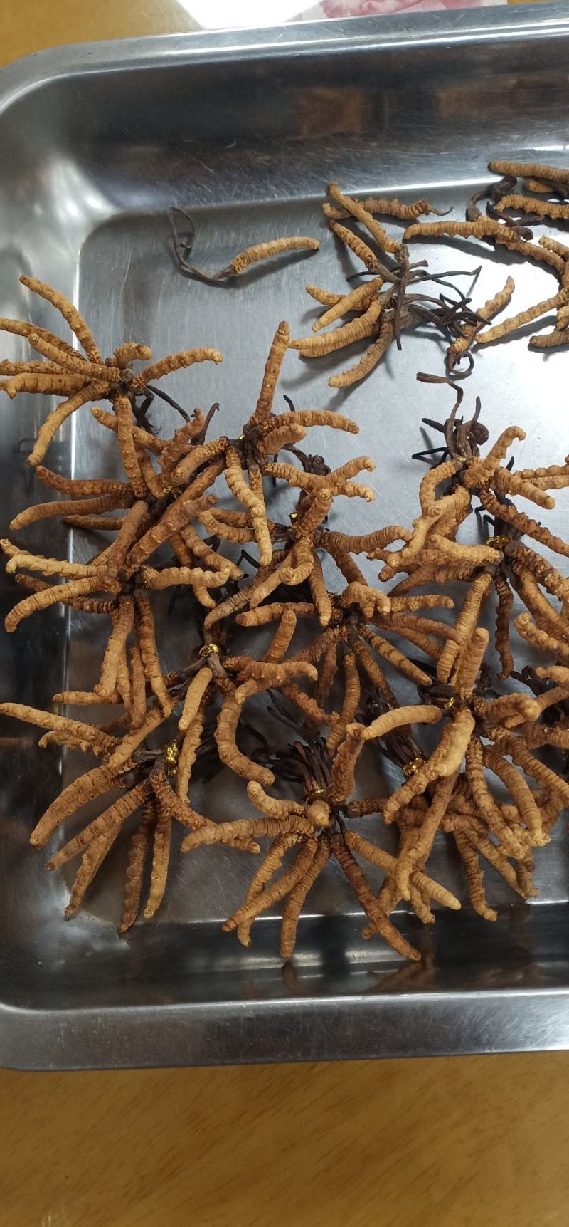 天然西藏纯冬虫夏草中药批一手货源量大忧惠