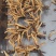 天然西藏纯冬虫夏草中药批一手货源量大忧惠