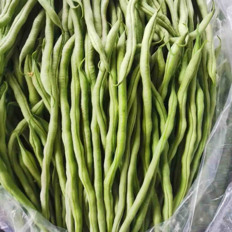 东北架豆王豆角，条长颜色亮，粗细均匀，欢迎各地客商咨询