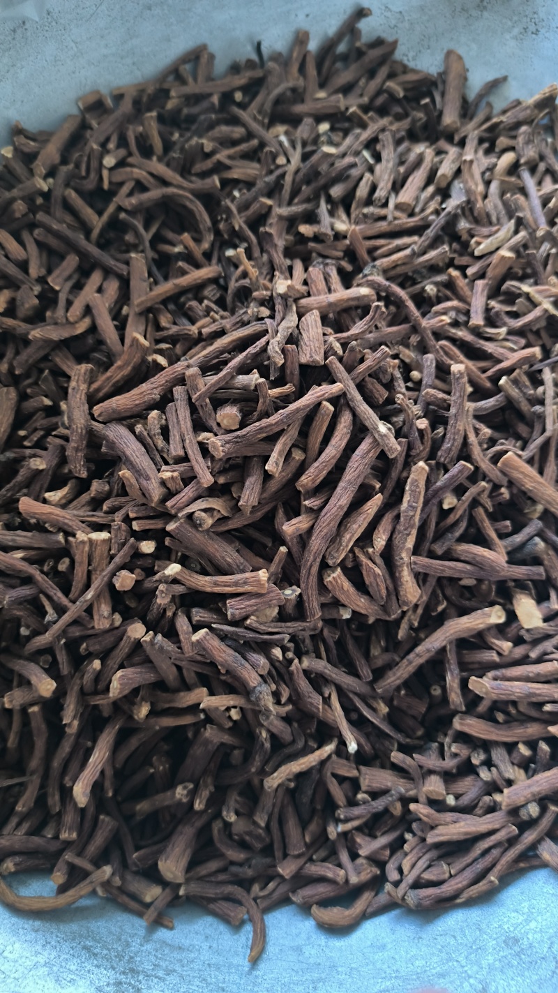 蒲公英蒲公英根茶用药用批发蒲公英根质量保证量大从优
