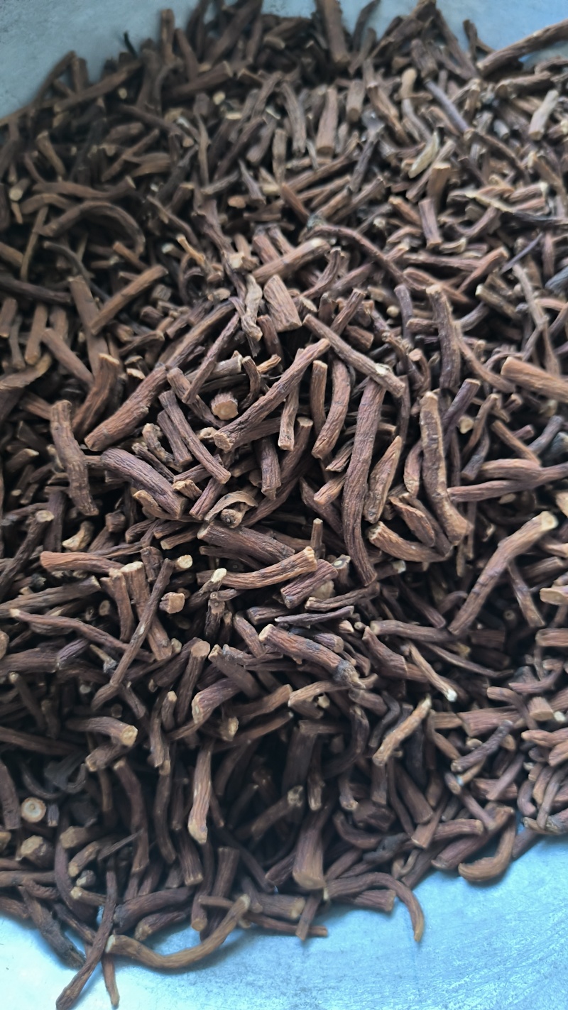 蒲公英蒲公英根茶用药用批发蒲公英根质量保证量大从优