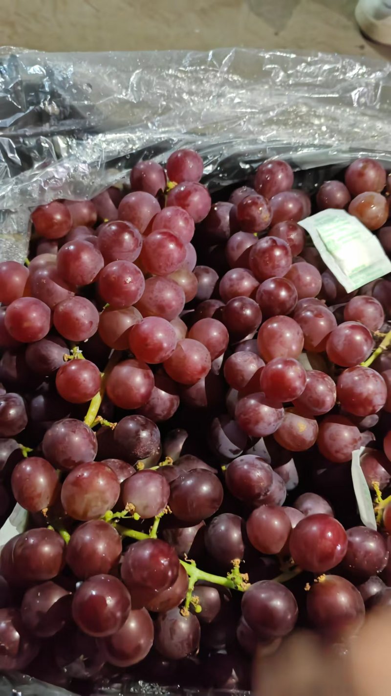 【推荐】精品巨峰葡萄供应市场商超电商品质保证量大价优