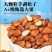 2024年东北红松子一件代发批发颗粒大饱满度高油炸原味