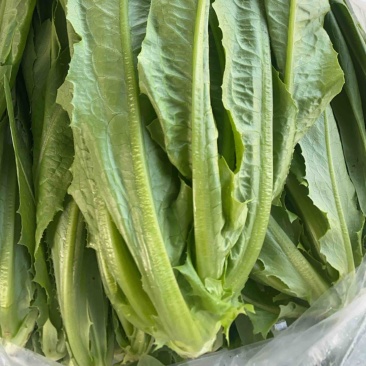 油麦菜