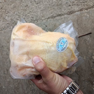 真空包装老母鸡电商老母鸡淘汰蛋鸡