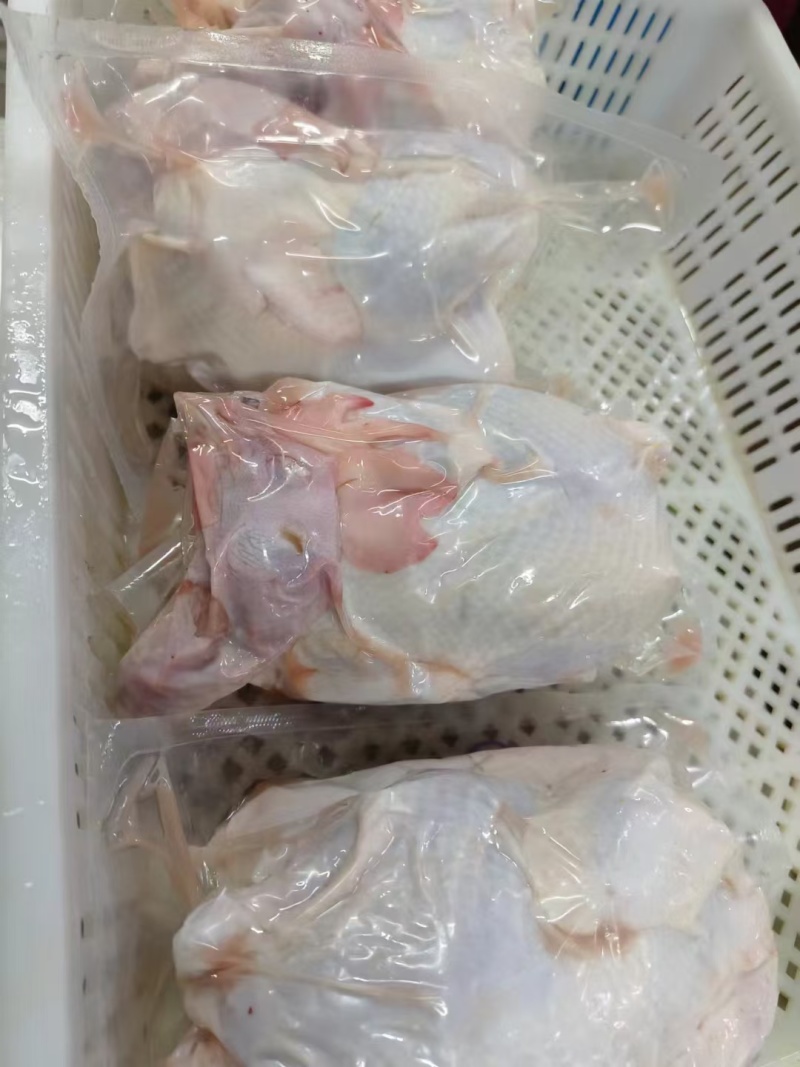 真空包装老母鸡电商老母鸡淘汰蛋鸡