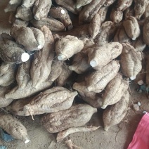葛根加工葛根粉葛根厂货葛根次品葛根原产地葛根粉葛