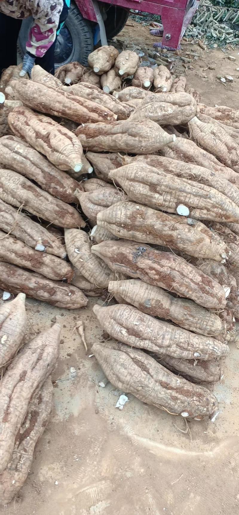 葛根加工葛根粉葛根厂货葛根次品葛根原产地葛根粉葛