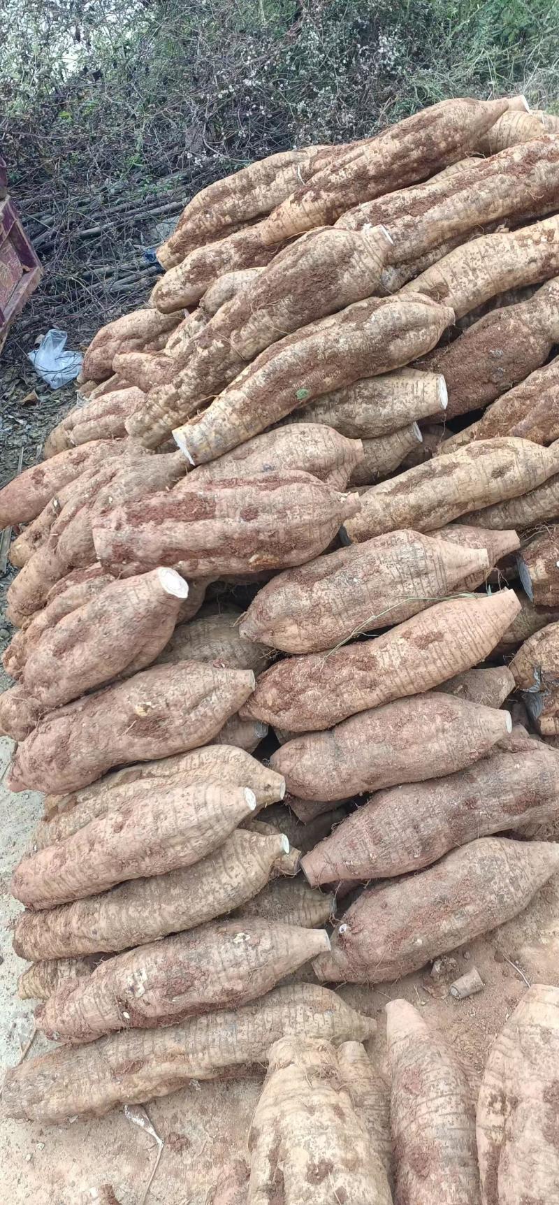 葛根加工葛根粉葛根厂货葛根次品葛根原产地葛根粉葛