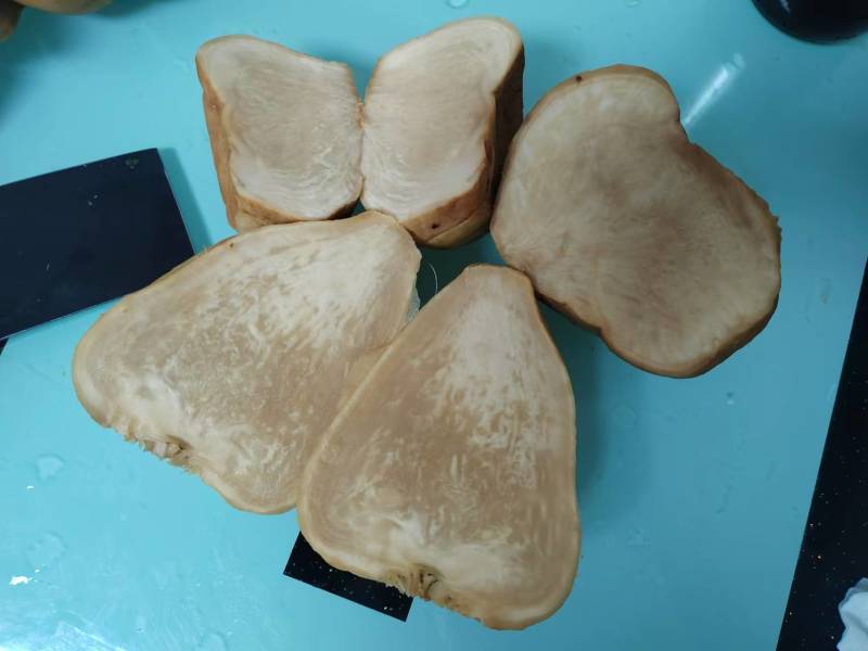 腌制芥菜嘎达品种好